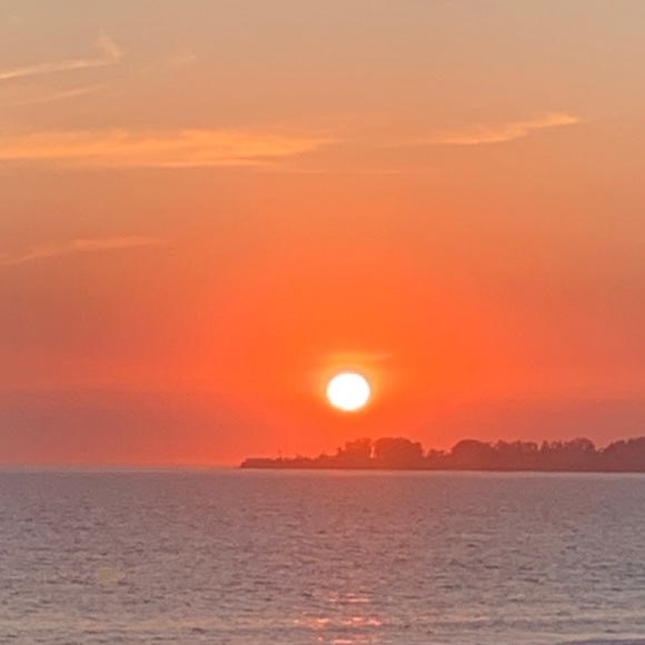 Trunks Surf & Swim Loose Fit Rash Guard NWT - Picture 11 of 11